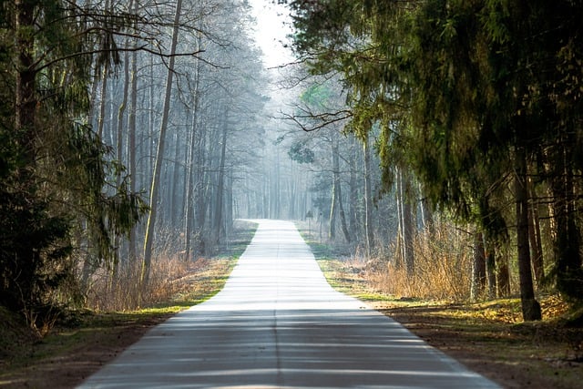 Oto Ekspertiz Nedir?